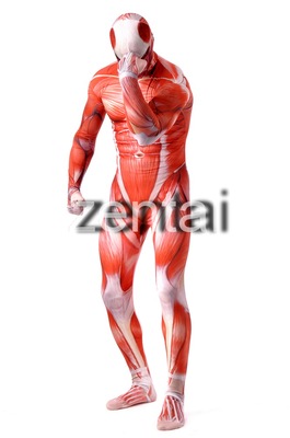 Cosplay tấn công cơ bắp khổng lồ / quần tất toàn bộ zentai / Quần áo phim truyền hình và cơ bắp lớp 50M cosplay zoro Cosplay