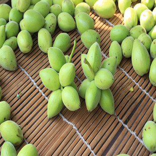 青核桃皮的作用 - 巧克力,大闸蟹,深海鱼油,蜜饯